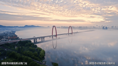 成任何专业看法或